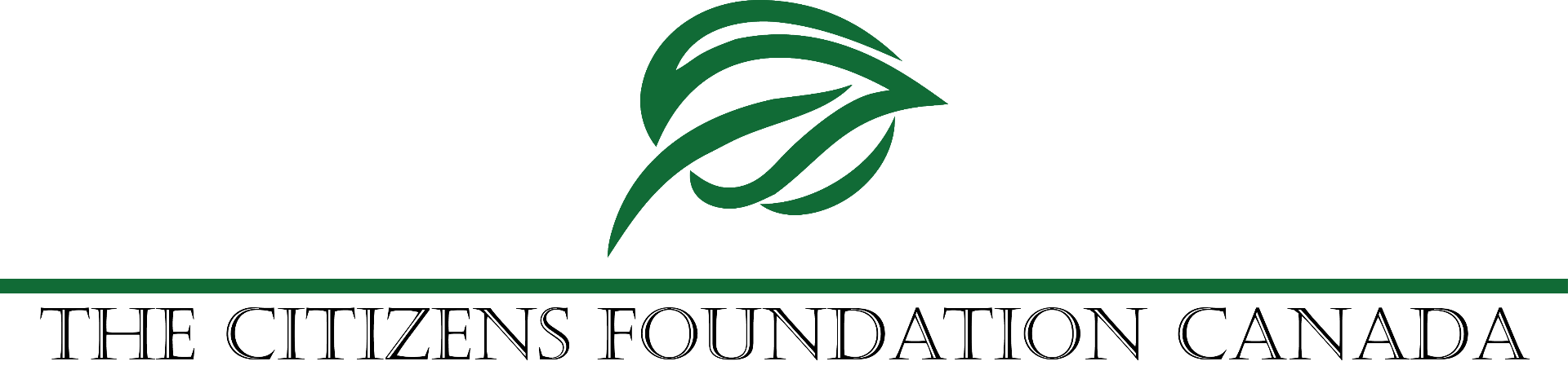 The Citizens Foundation logo